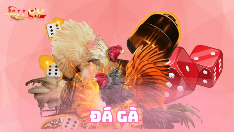 Hình thức đá gà của MU88 Casino được nhiều người biết đến