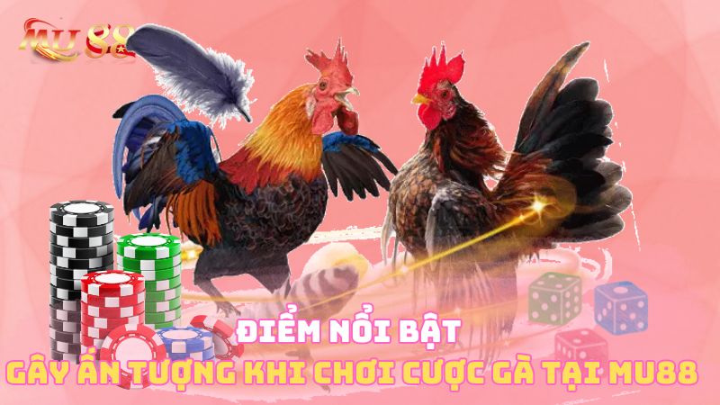 Điểm nổi bật gây ấn tượng khi chơi cược gà tại MU88 Casino